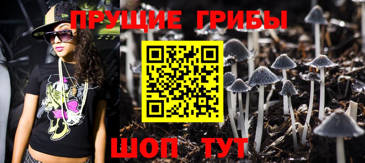 Галлюциногенные грибы мицелий  как найти закладки  Хасавюрт  Вход с VPN 