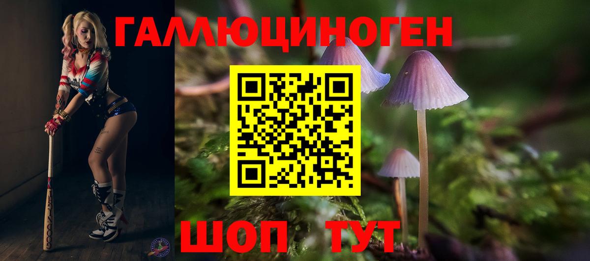 Галлюциногенные грибы MAGIC MUSHROOMS Хасавюрт